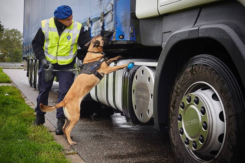 Hond van Kmar speurt rond een vrachtwagen