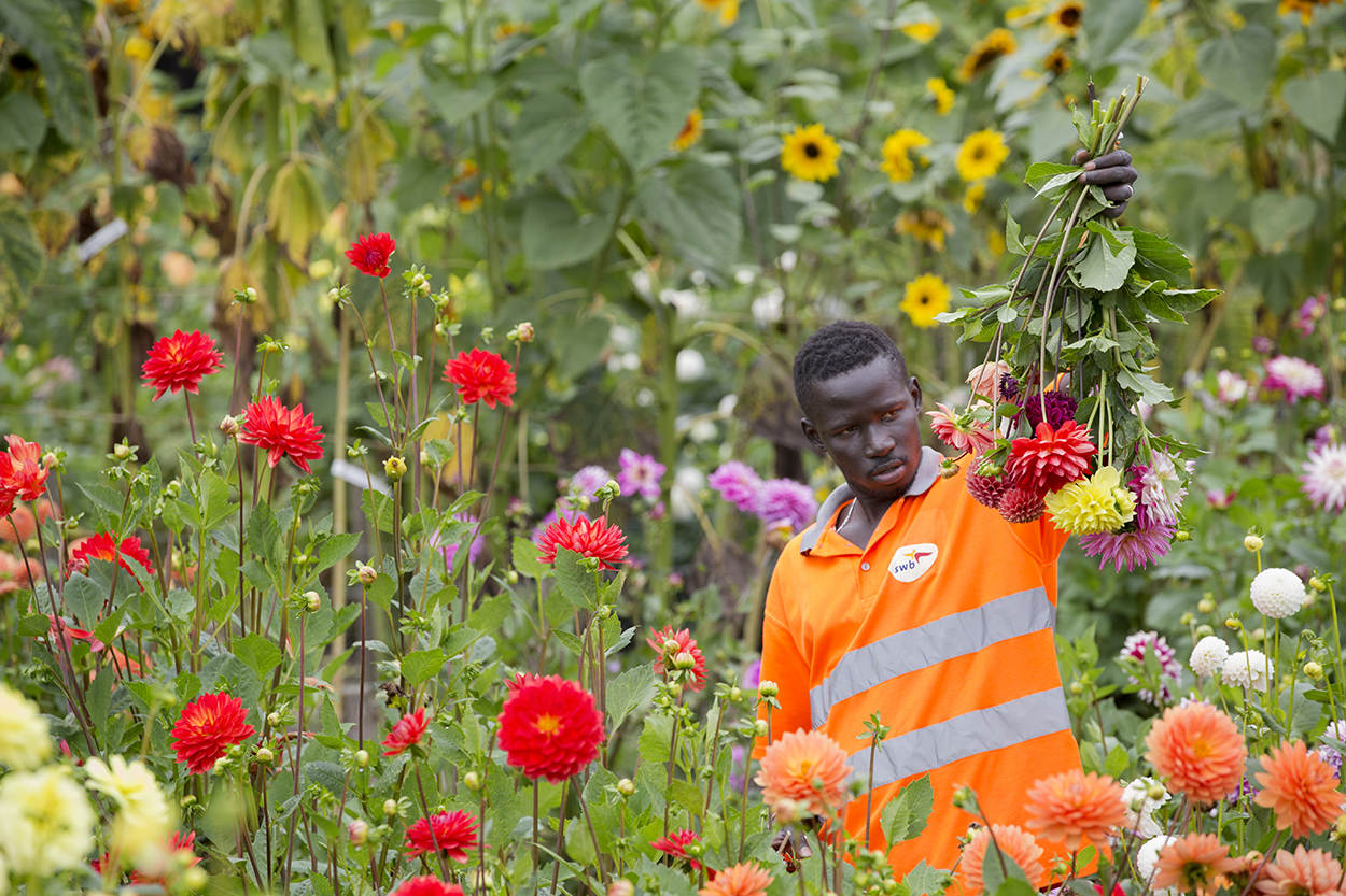 Aan het werk in de bloementuin