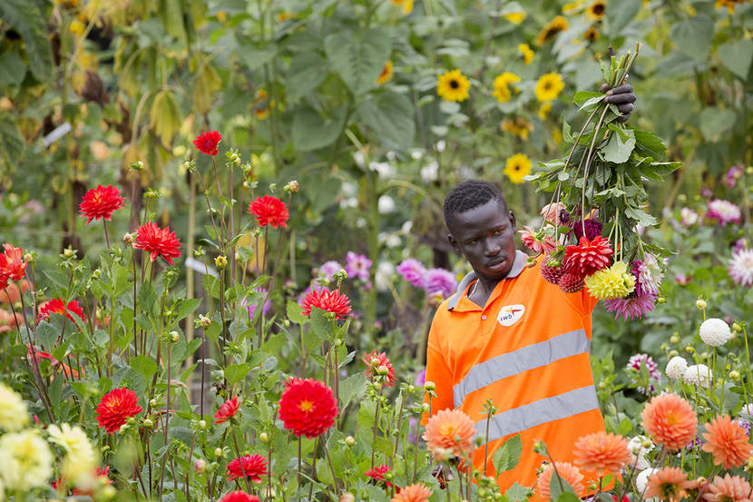 Aan het werk in de bloementuin