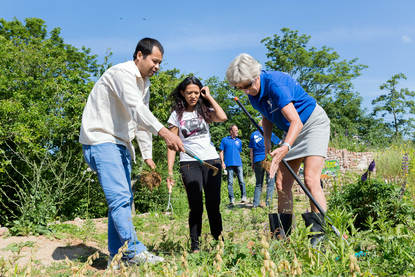 Werken in de buurttuin